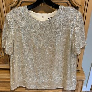 Rag and Bone Gia sequined short sleeved top. NWT